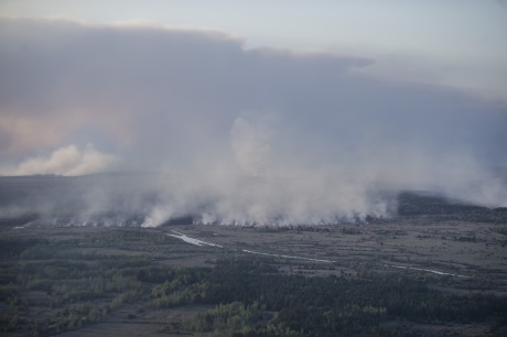 Chernobyl forest fires - April 2015 - 460